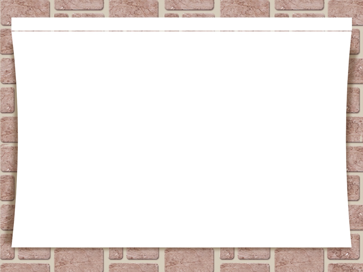 BLANK WALL